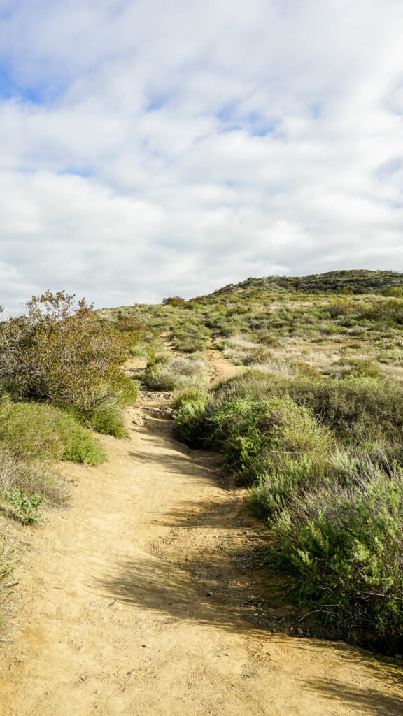 The trail to Mount Calavera at Lake Calavera Preserve, Carlsbad, CA