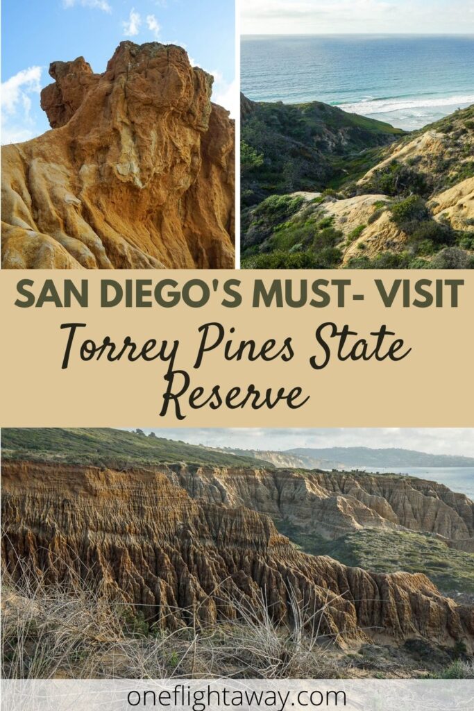 San Deigo's Must-Visit Torrey Pines State Reserve