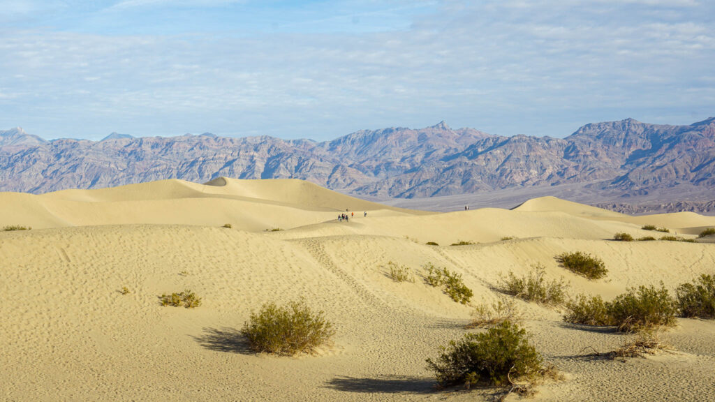 Mesquite Sand Dunes in Death Valley National Park