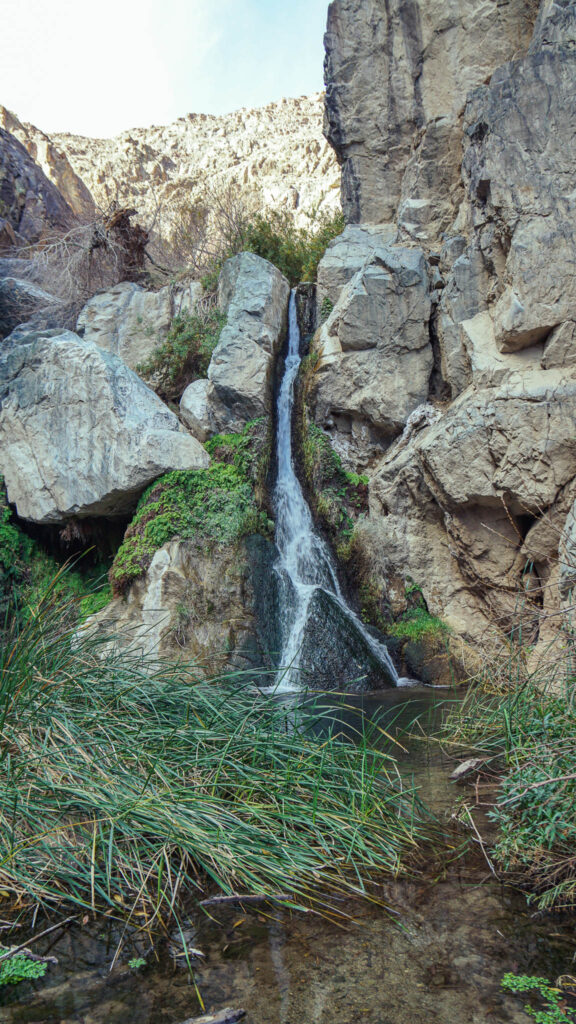 Darwin Falls in Death Valley National Park