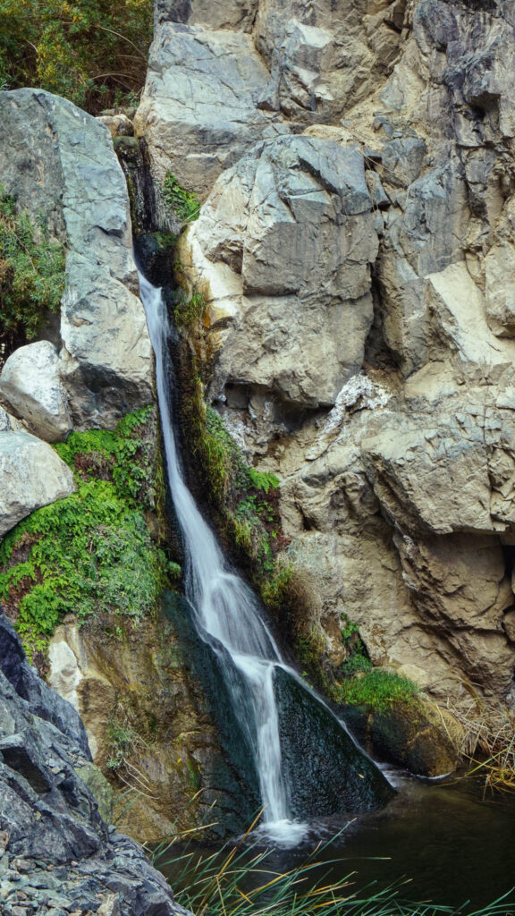 A close shot of Darwin Falls in Death Valley National Park