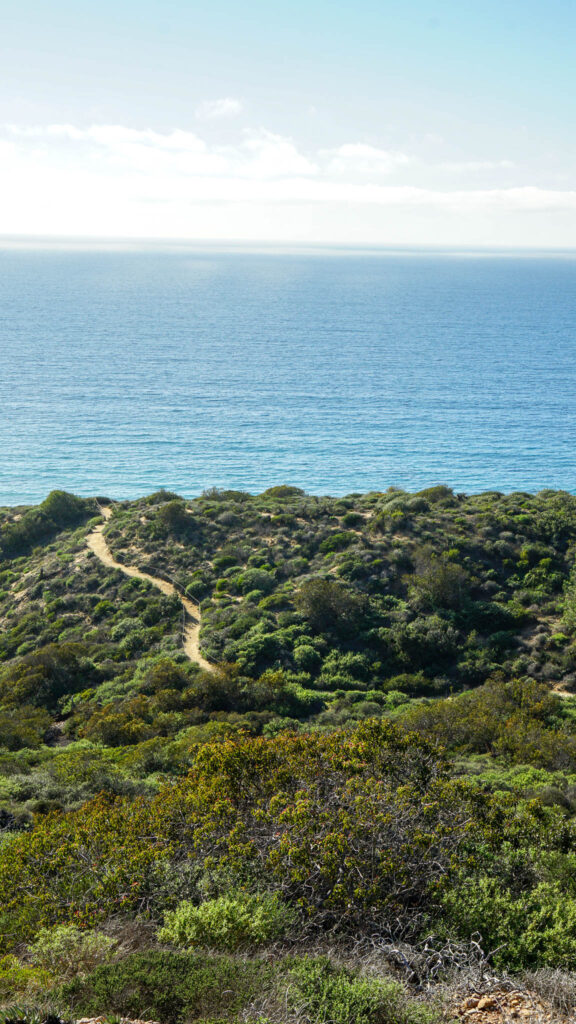 A trail at Torrey Pines State Natural Reserve and the ocean views in the distance