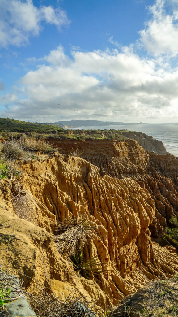 Golden cliffs at Torrey Pines State Natural Reserve