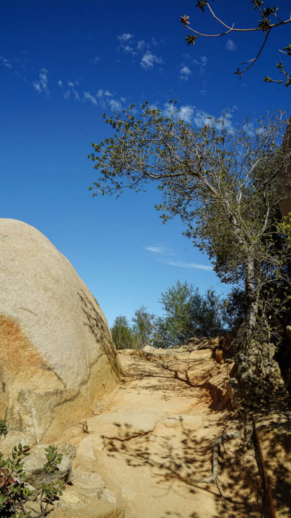 A large boulder on the side of the path along Mt Woodson Trail