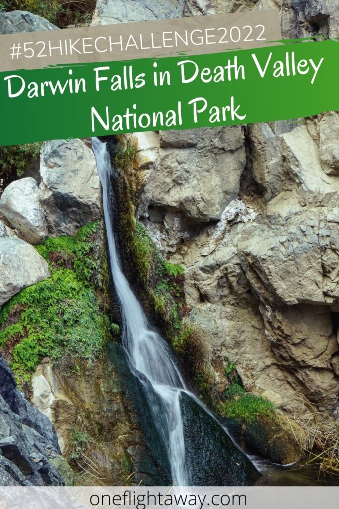 Darwin Falls in Death Valley National park #52hikechallenge2022