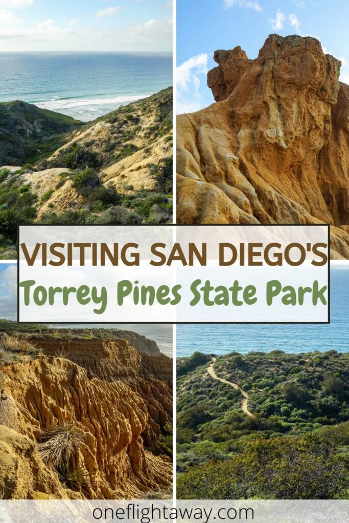 Visiting San Diego's Torrey Pines State Park