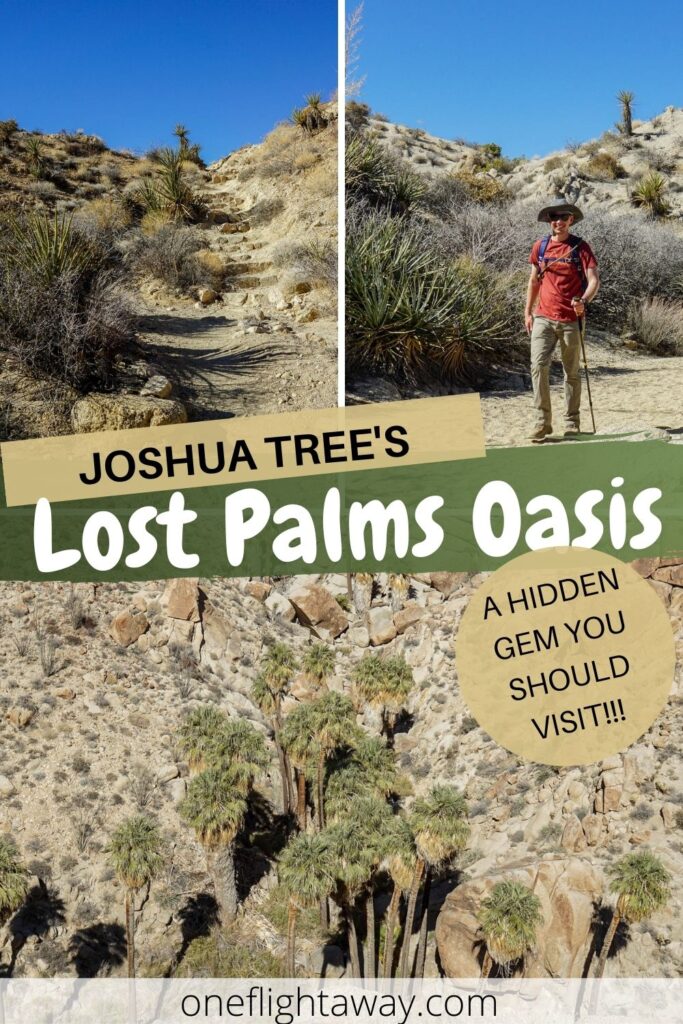 Photo Collage - Joshua Tree's Lost Palms Oasis - a Hidden Gem you Shoul Visit