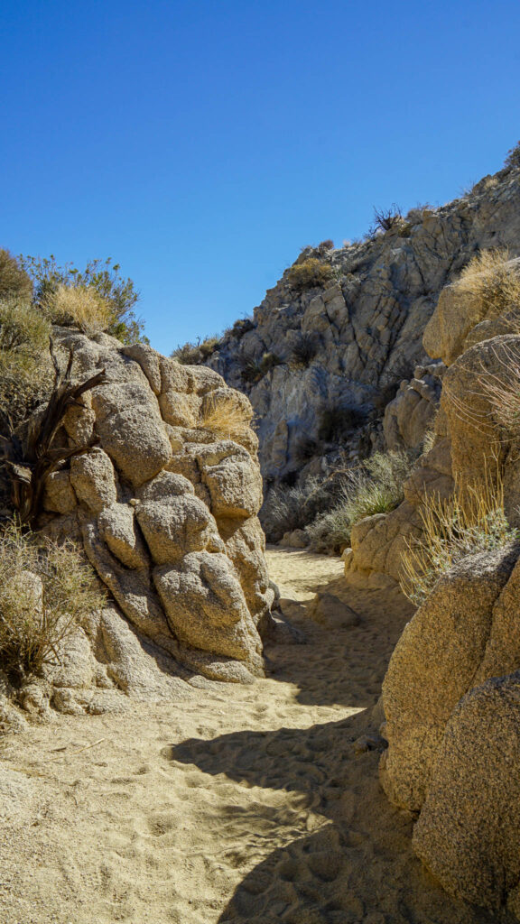 The Narrow Canyons along the Lost Palms Oasis Trail In Joshua Tree