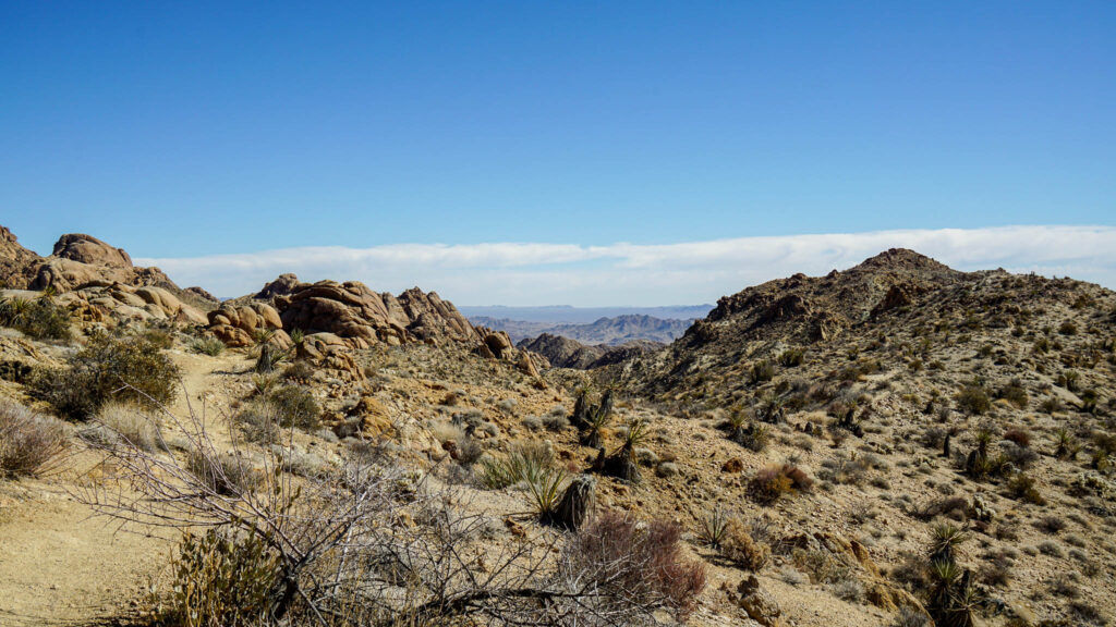 The Views Along the Lost Palms Oasis Trail in Joshua Tree