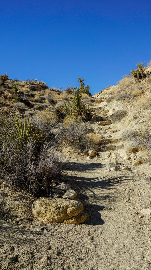 One of the rocky and steep portions of the Lost Palms Oasis Trail