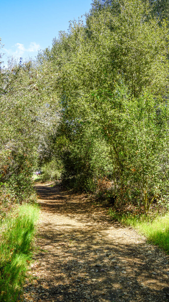 The picturesque Los Penasquitos Waterfall Trail
