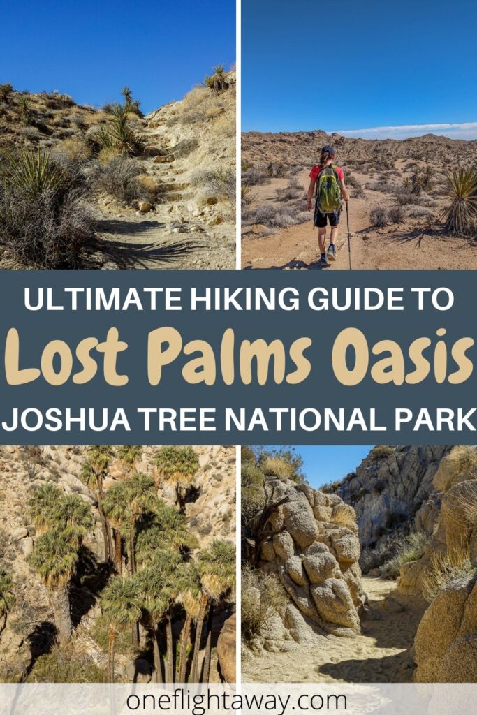 Photo Collage - Ultimate Hiking Guide to Lost Palms Oasis in Joshua Tree National Park