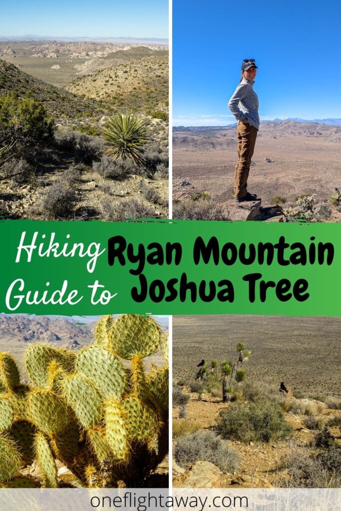 Photo Collage - Ryan Mountain, Joshua Tree