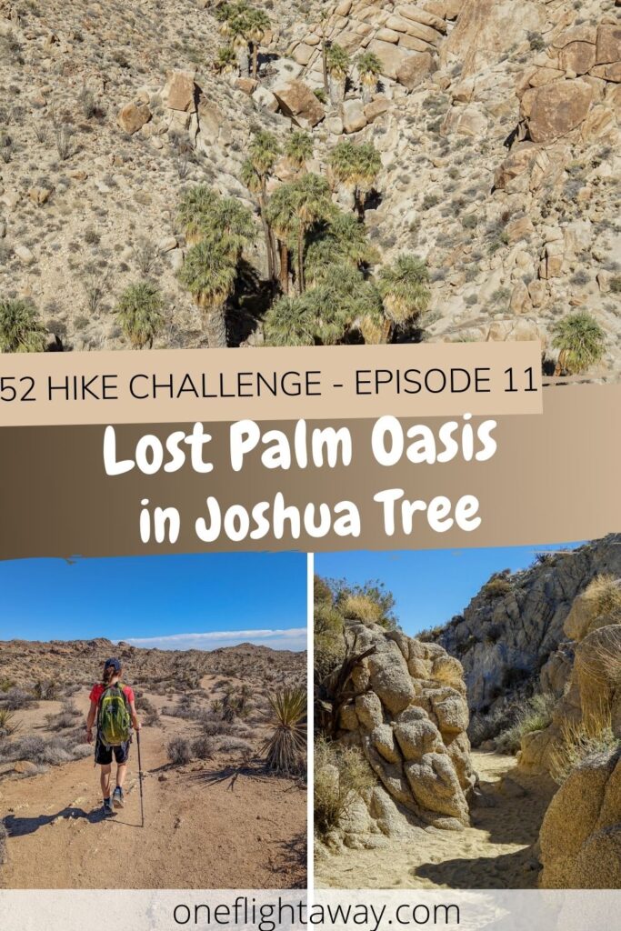 Photo Collage - 52 Hike Challenge - Episode 11 - Lost Palms Oasis in Joshua Tree