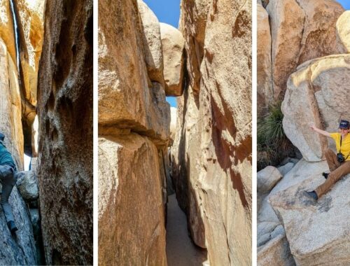 Collage of photos from Hall of Horros in Joshua Tree National Park