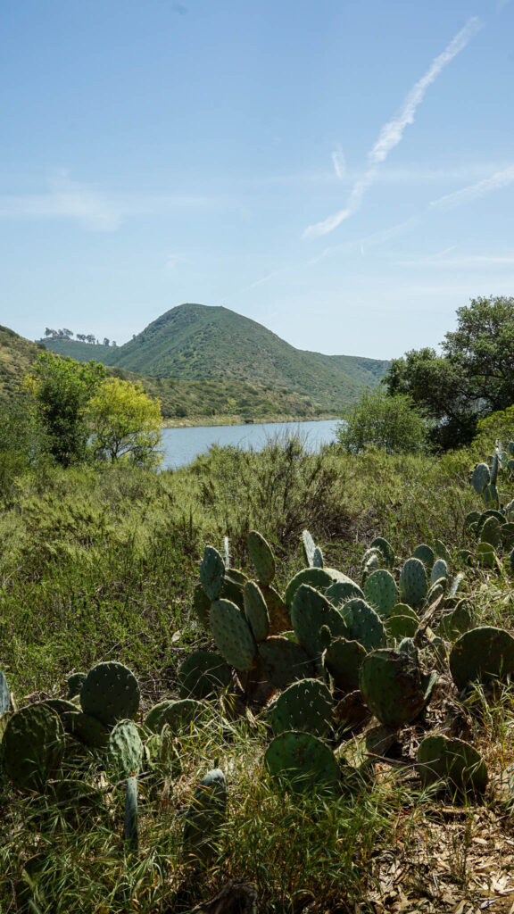 Views of Lake Hodges from the Trail
