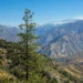 Visiting Sequoia and Kings Canyon National Parks