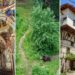Top 10 Day Trips from Bansko