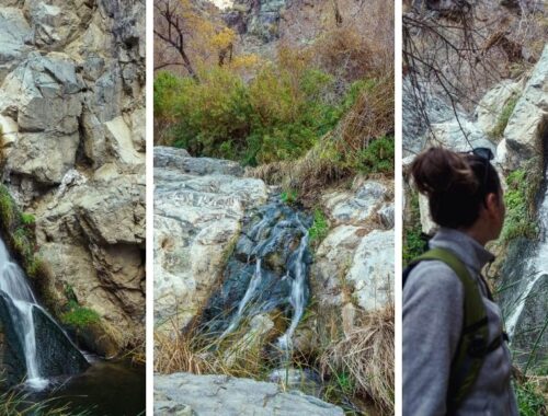 Collage of Photos from Darwin Falls in Death Valley National Park