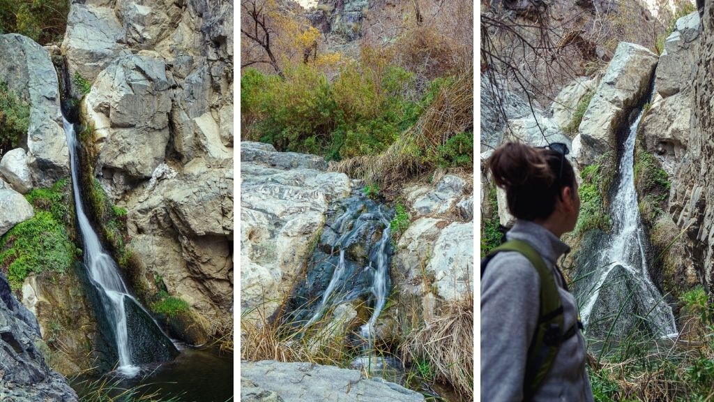 Collage of Photos from Darwin Falls in Death Valley National Park