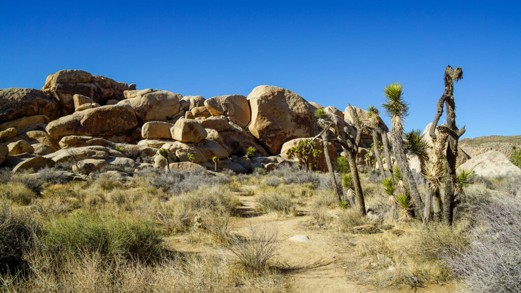 The scenery of mounts of boulders at Hall of Horrors Trail in Joshua Tree National Park