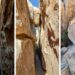 Collage of photos from Hall of Horros in Joshua Tree National Park