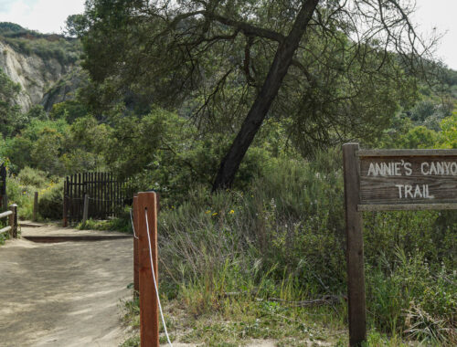 Annie's Canyon Trail in Solana Beach