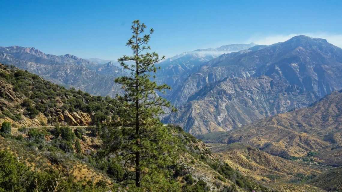 Visiting Sequoia and Kings Canyon National Parks