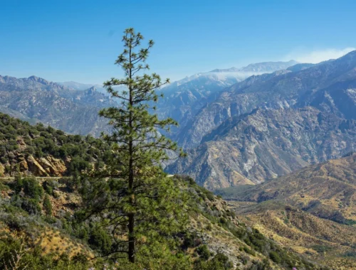 Visiting Sequoia and Kings Canyon National Parks