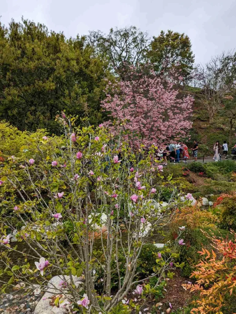 The Japanese Gardens in Balboa Park