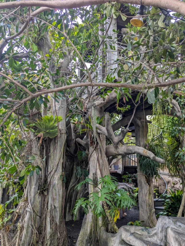 San Diego Botanical Garden