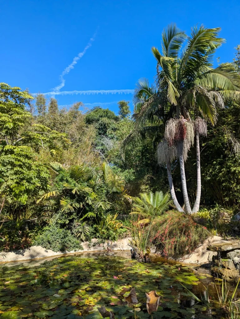 San Diego Botanical Garden
